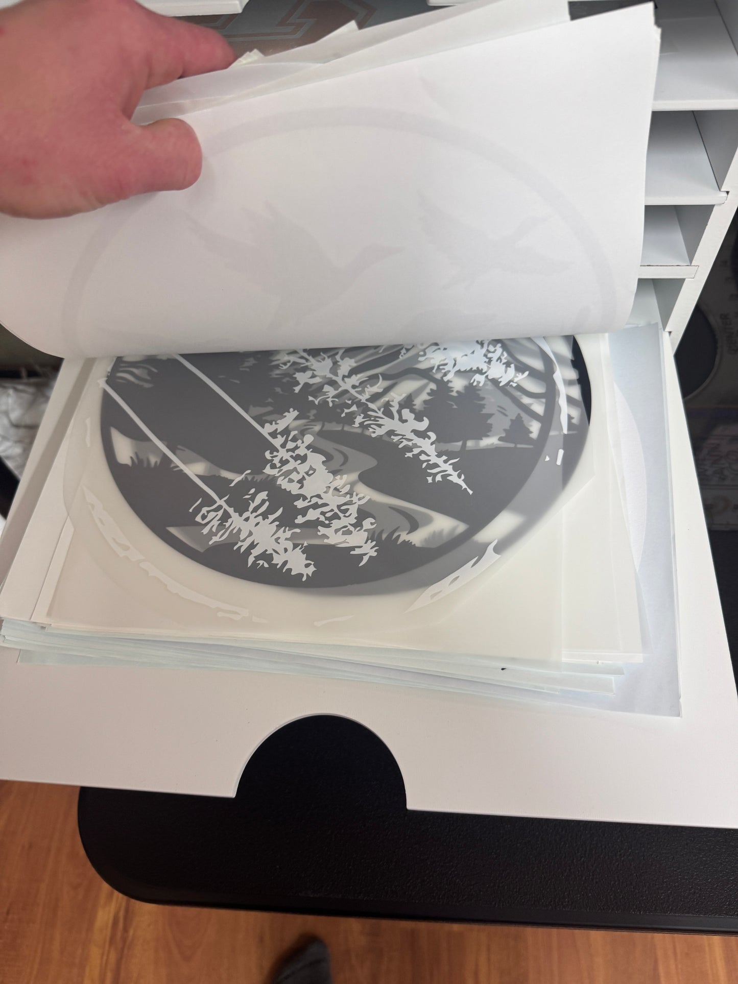 Mystery Bundle Screenprint & DTF Transfer